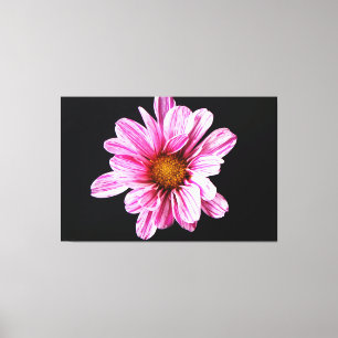 Chrysant Bloem 60x40 (150x100cm) waccna Canvas Afdruk
