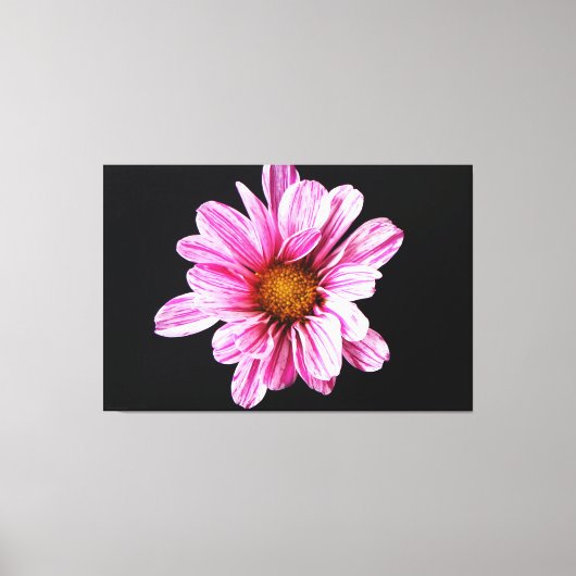 Chrysant Bloem 60x40 (150x100cm) waccna Canvas Afdruk (Voorkant)
