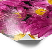 Chrysanten bloeien in de herfst foto afdruk (Hoek)