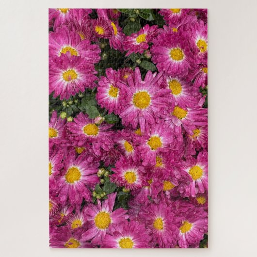 Chrysanten bloeiend in de herfst legpuzzel (Verticaal)
