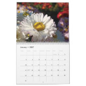 "chrysanten"Bloemenkalender Feng Shui Kalender (Jan 2027)