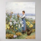 chrysanten | Daniel Ridgway Knight Poster (Voorkant)