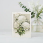Chrysanten – Elegante  botanische Briefkaart (Staand voorkant)
