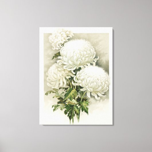 Chrysanten – Elegante  botanische Canvas Afdruk (Voorkant)