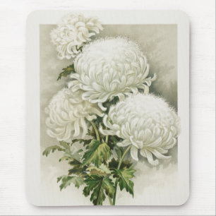 Chrysanten – Elegante  botanische Muismat