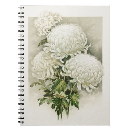 Chrysanten – Elegante botanische Notitieboek (Voorkant)