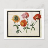 Chrysanten (m/v op papier) briefkaart (Voorkant)