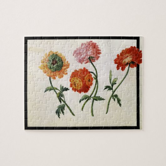 Chrysanten (m/v op papier) legpuzzel (Horizontaal)