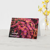Chrysanten / Magenta / Herfstsalutaties Kaart (Gele Bloem)