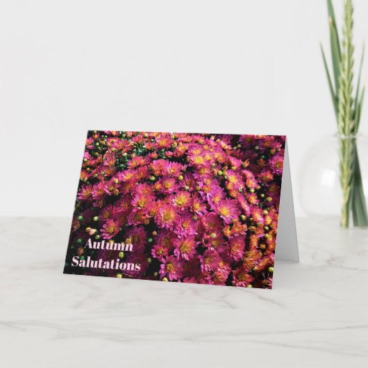 Chrysanten / Magenta / Herfstsalutaties Kaart (Voorkant)