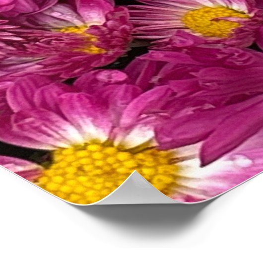 Chrysanten Poster (Hoek)