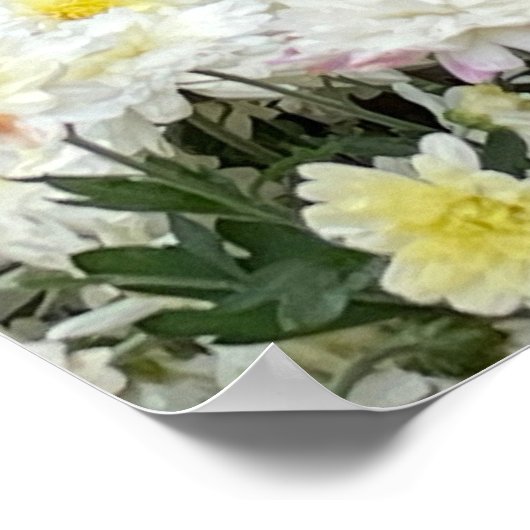Chrysanten Poster (Hoek)