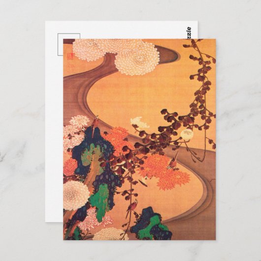 Chrysanthema met gesteente (1760) briefkaart (Voorkant / Achterkant)