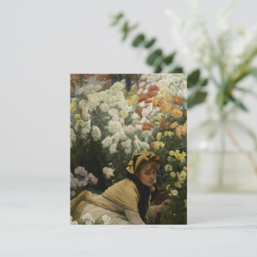 Chrysanthemae (Staand voorkant)