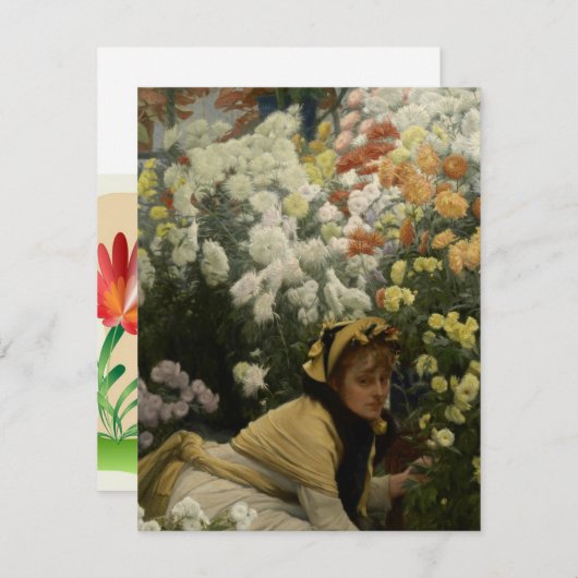 Chrysanthemae (Voorkant / Achterkant)