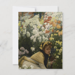 Chrysanthemae
