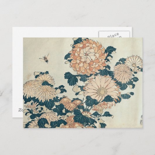 Chrysanthemae Briefkaart (Voorkant / Achterkant)