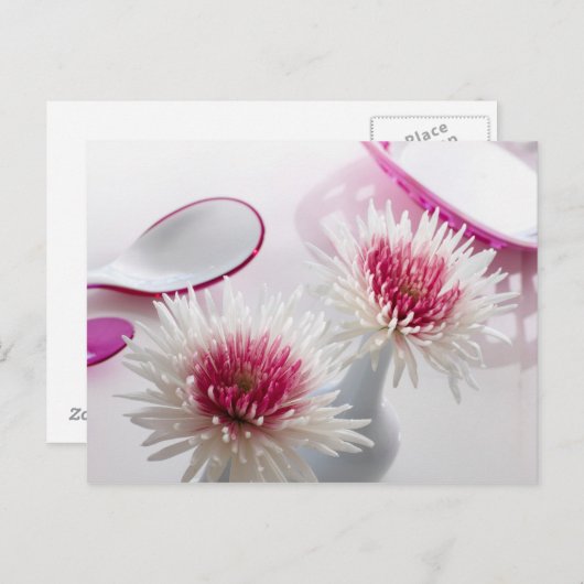 Chrysanthemae Briefkaart (Voorkant / Achterkant)