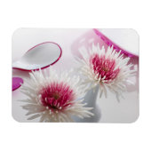Chrysanthemae Magneet (Horizontaal)