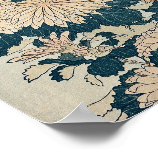 Chrysanthemae Poster (Hoek)