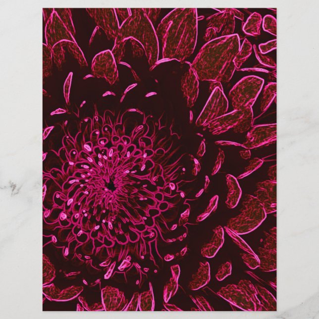Chrysanthemum (Voorkant)
