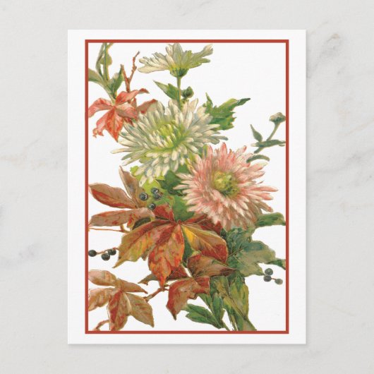 Chrysanthemum Autumn Fine Art Briefkaart (Voorkant)
