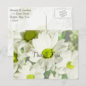 Chrysanthemum Bedankt Briefkaart (Voorkant / Achterkant)