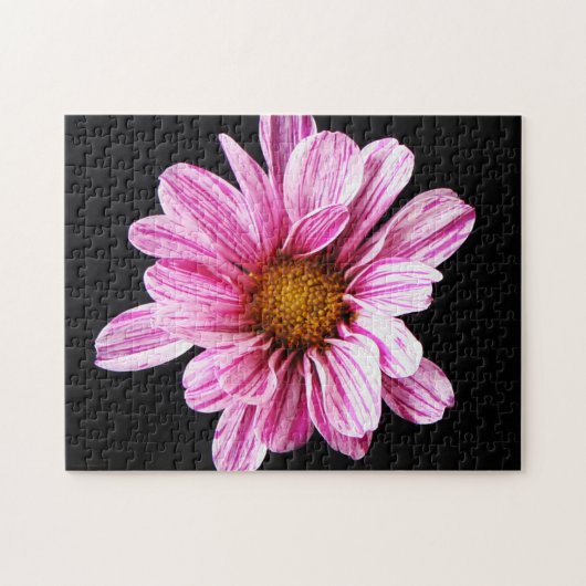 Chrysanthemum Bloem 11x14 252pc jpcna Legpuzzel (Horizontaal)