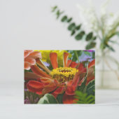 Chrysanthemum bloem briefkaart (Staand voorkant)