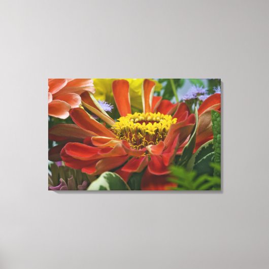 Chrysanthemum bloem canvas afdruk (Voorkant)