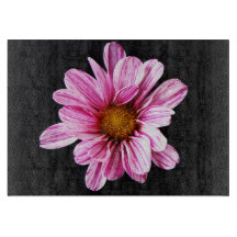 Chrysanthemum Bloem cbcnm