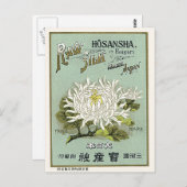 Chrysanthemum Bloem  Japans zijde Etiket Briefkaart (Voorkant / Achterkant)