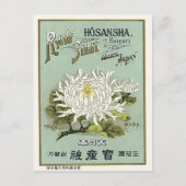 Chrysanthemum Bloem  Japans zijde Etiket Briefkaart (Voorkant)