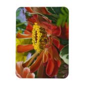Chrysanthemum bloem magneet (Verticaal)