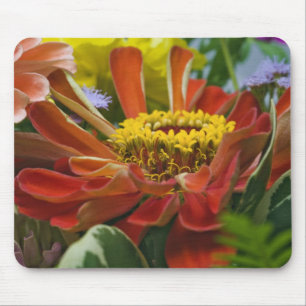 Chrysanthemum bloem muismat