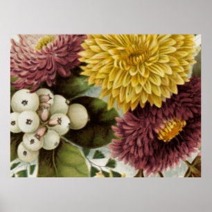 Chrysanthemum Bloem Mum Bloemstuk Poster