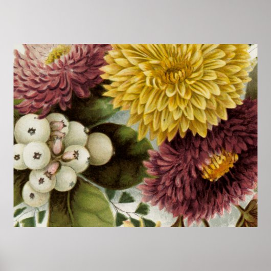 Chrysanthemum Bloem Mum Bloemstuk Poster (Voorkant)