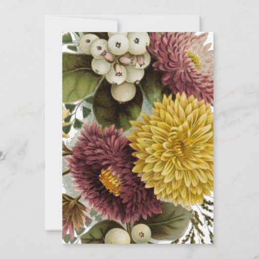 Chrysanthemum Bloem Mum Floral Kaart (Achterkant)