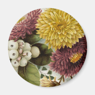 Chrysanthemum Bloem Mum Floral Magneet