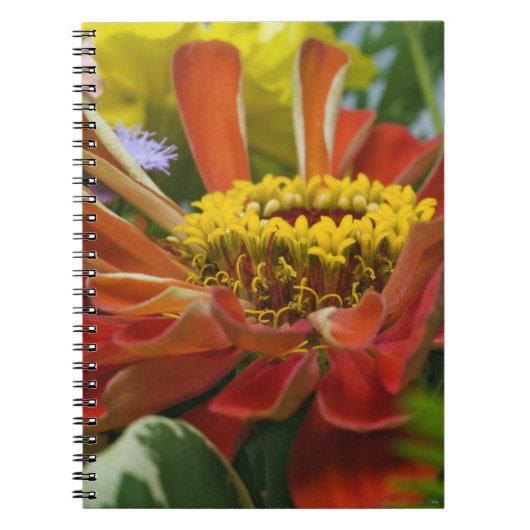 Chrysanthemum bloem notitieboek (Voorkant)