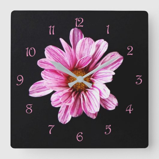 Chrysanthemum Bloem Roze Script Nummers wccna Vierkante Klok (Voorkant)