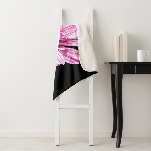 Chrysanthemum Bloem sbcnm Sherpa Deken (In situ)