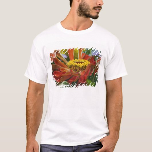 Chrysanthemum bloem t-shirt (Voorkant)