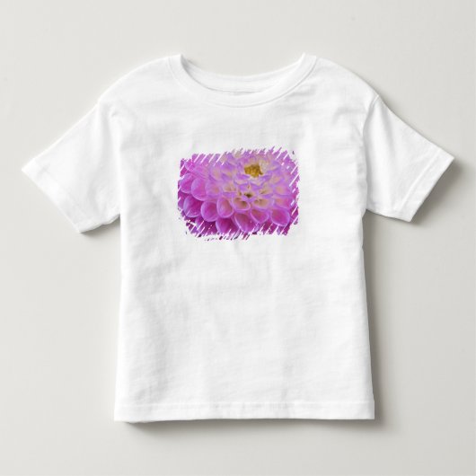 Chrysanthemum bloem versierd graf site in kinder shirts (Voorkant)