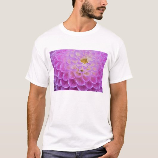 Chrysanthemum bloem versiert grafsite in t-shirt (Voorkant)