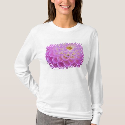Chrysanthemum bloem versiert grafsite in t-shirt (Voorkant)