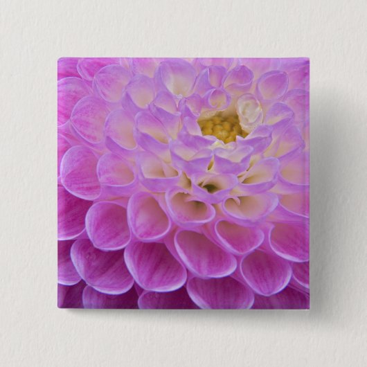 Chrysanthemum bloem versiert grafsite in vierkante button 5,1 cm (Voorkant)