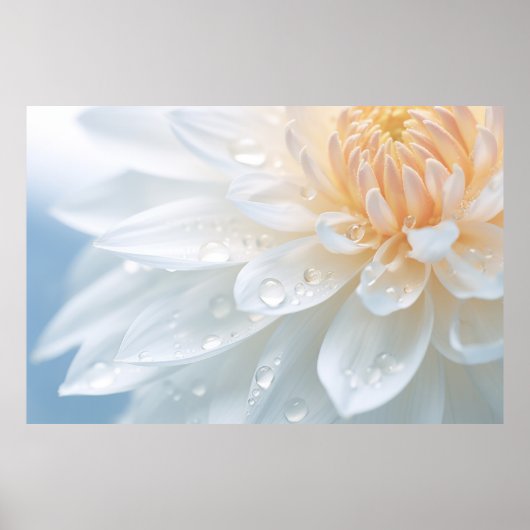 Chrysanthemum bloemblaadjes Natuur sereen Poster (Voorkant)