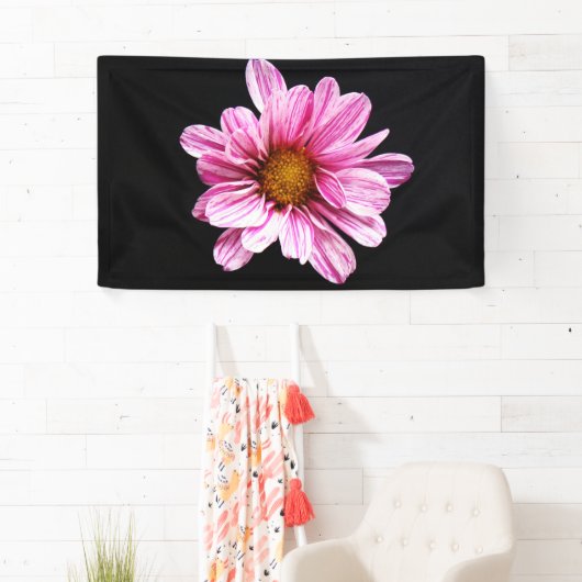 Chrysanthemum Bloemboom Spandoek (Insitu)