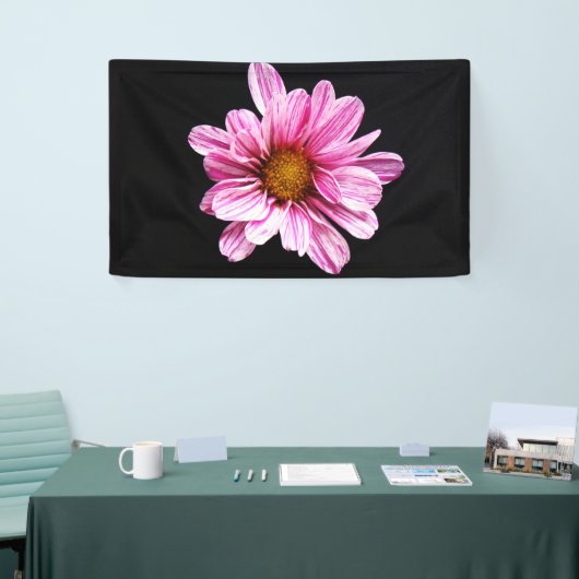 Chrysanthemum Bloemboom Spandoek (Beurs)